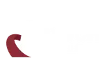 株式会社上智